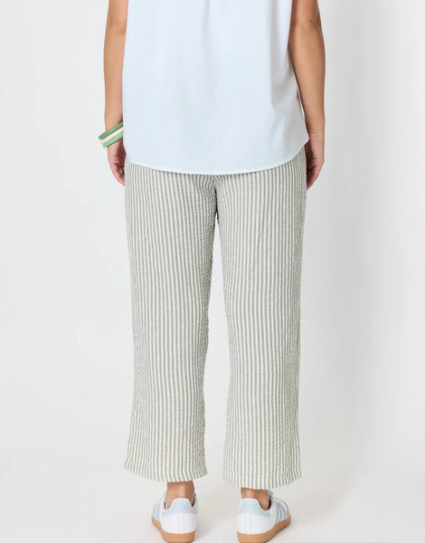 Threadz Urban Stripe Olive Pant 49602