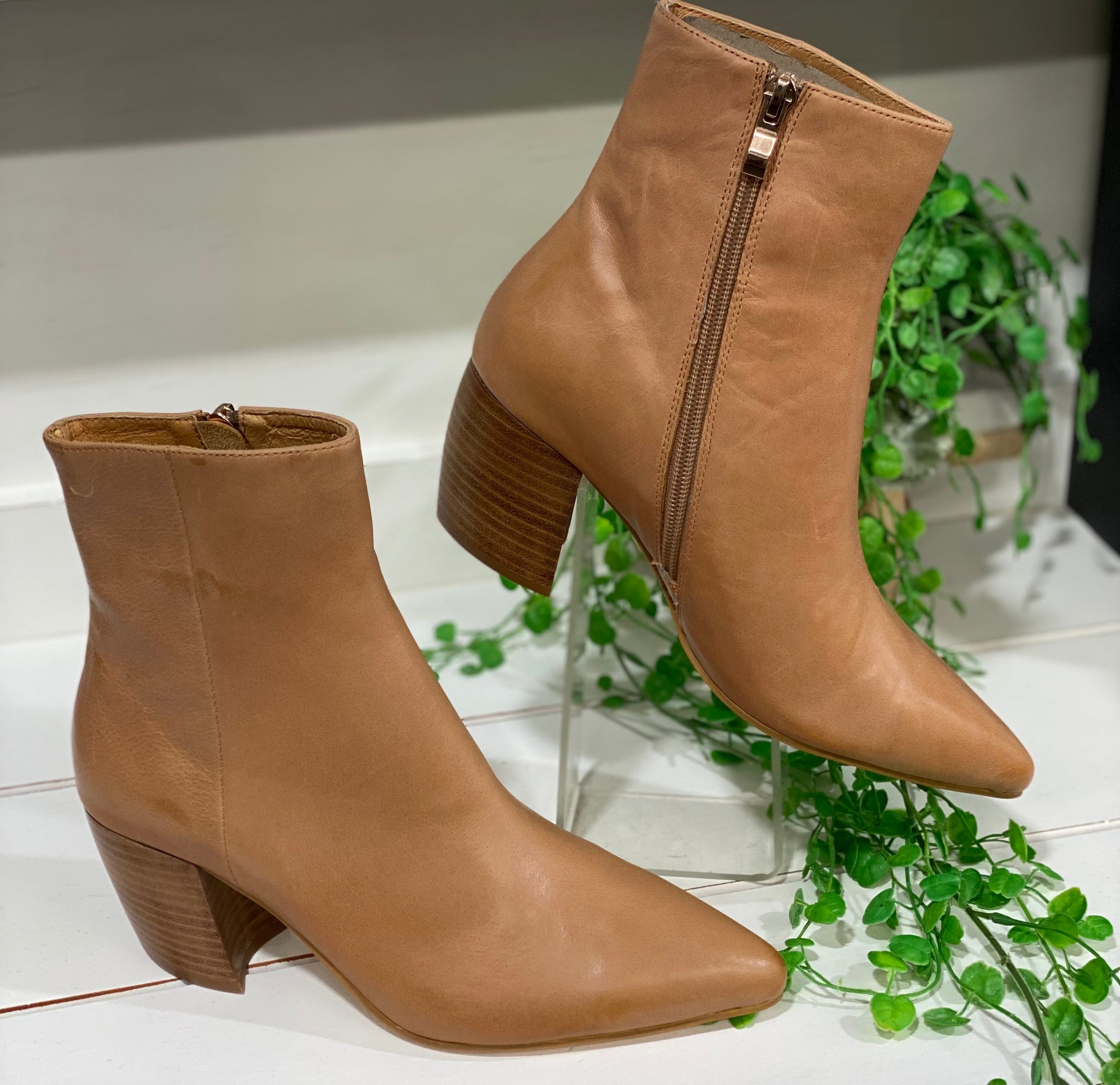 Mollini boots outlet