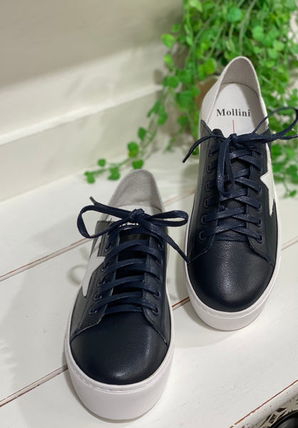 Mollini Caliday Navy/White Sneaker